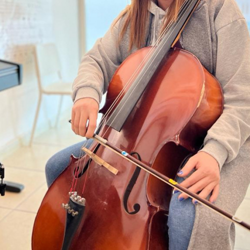 viyolonsel fotoğraf